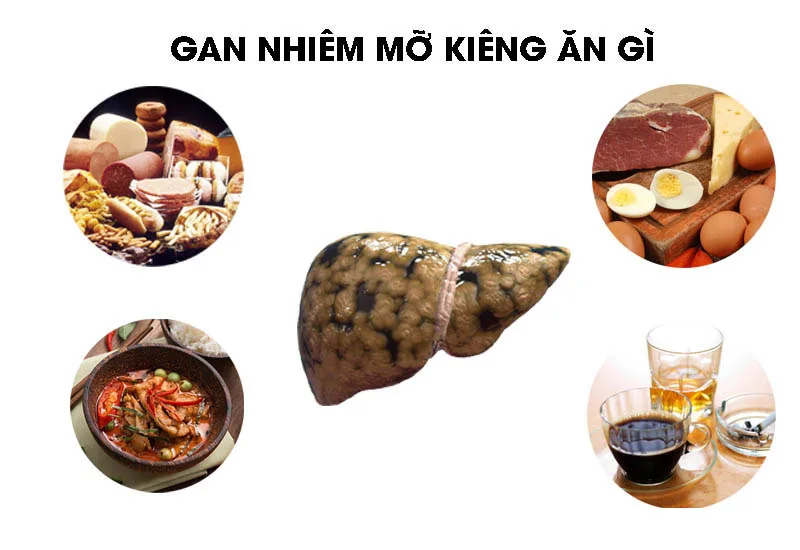 Người bị gan nhiễm mỡ không nhất thiết phải kiêng tuyệt đối thịt đỏ hoặc trứng, nhưng cần chọn khẩu phần và cách chế biến phù hợp.