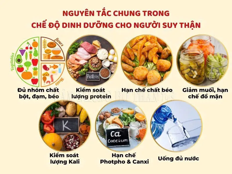 Người bệnh thận cần chế độ ăn cá nhân hóa theo xét nghiệm, giai đoạn bệnh và chỉ định của bác sĩ.