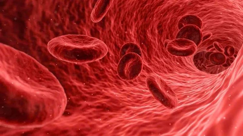 Vitamin K tham gia tạo các protein cần thiết cho cơ chế đông máu của cơ thể