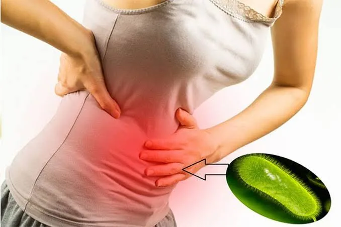 Vi khuẩn HP dạ dày có lây không