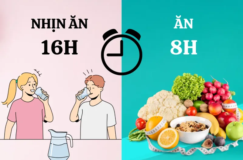 Nhịn ăn gián đoạn (IF) là mô hình ăn uống chu kỳ giúp quản lý thời điểm nạp năng lượng hiệu quả.