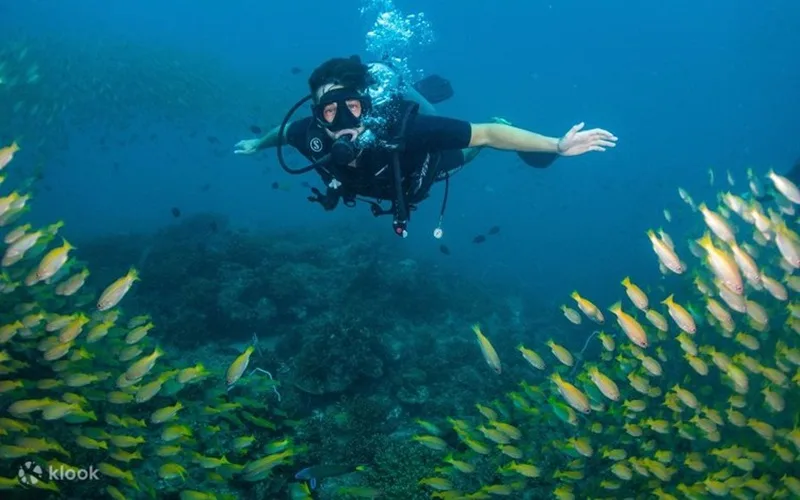 Khác với lặn ống thở nông (snorkeling), lặn scuba giúp thợ lặn khám phá các độ sâu lớn hơn trong thời gian dài.