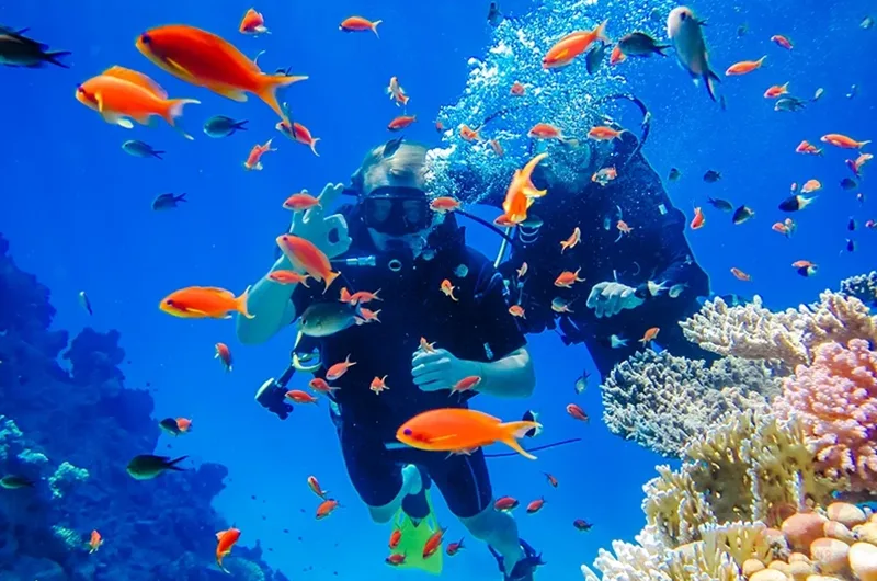Khu bảo tồn biển Hòn Mun (Nha Trang) – thiên đường lặn biển thu hút đông đảo du khách trong và ngoài nước.